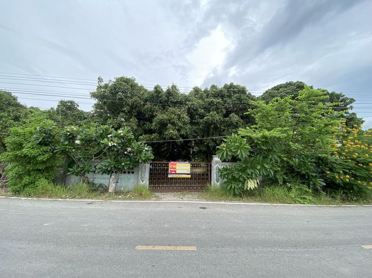 💖 บ้าน ป่าซาง ราคาพิเศษ! 💖