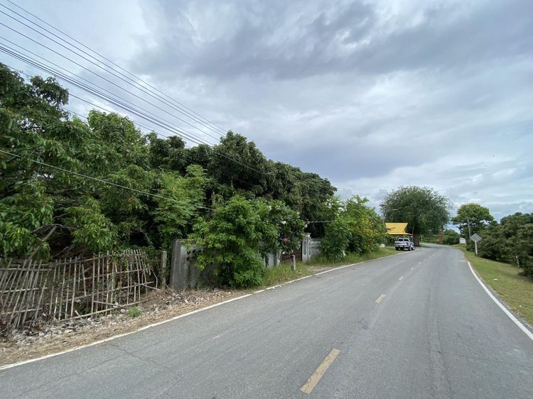 ใช่ 💖 บ้าน ป่าซาง ราคาพิเศษ! 💖 รูปที่ 3