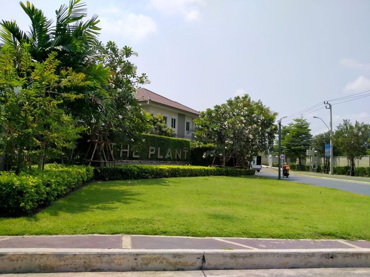 ใช่ 💖 บ้าน บางพลี ราคาพิเศษ! 💖 รูปที่ 2