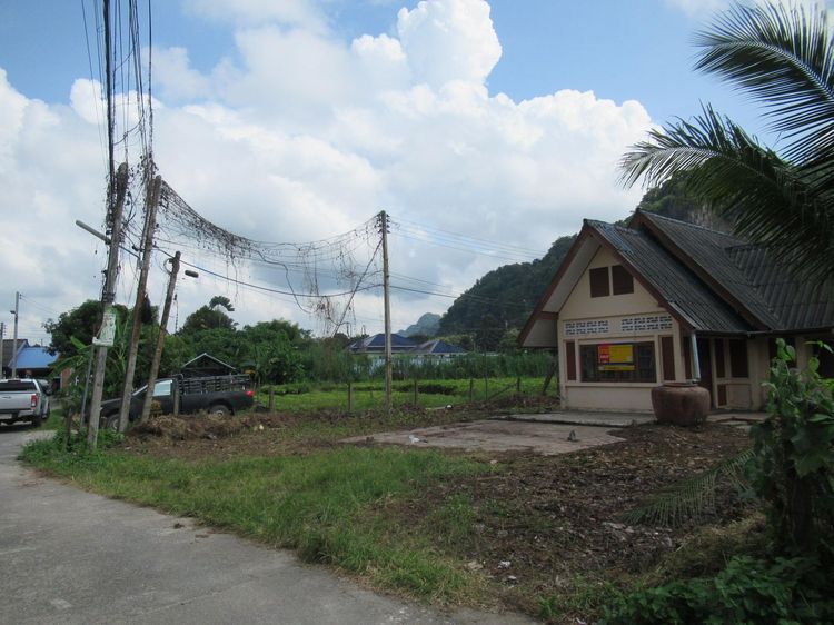 ใช่ 💖 บ้าน บ้านนาสาร ราคาพิเศษ! 💖 รูปที่ 4