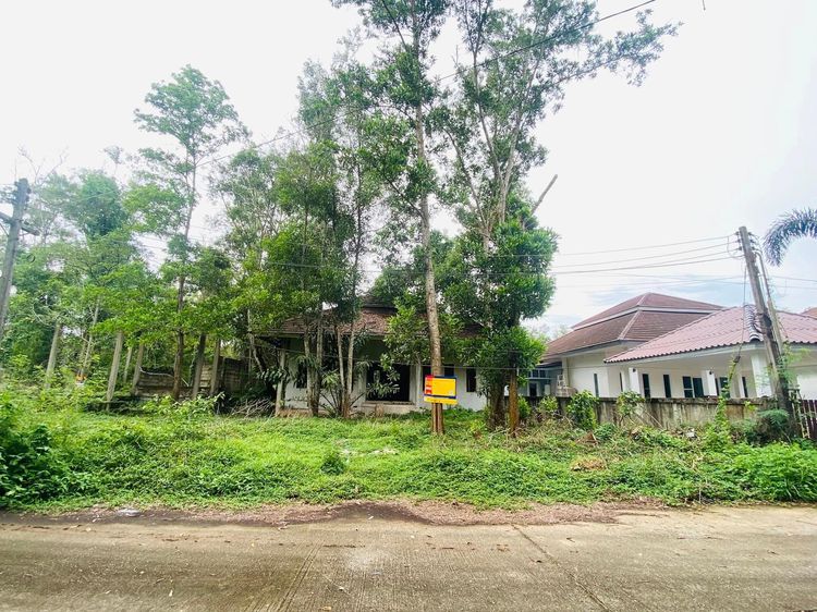 ใช่ 💖 บ้าน เมืองชุมพร ราคาพิเศษ! 💖 รูปที่ 2