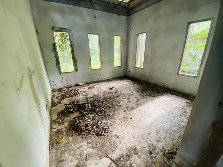 ใช่ 💖 บ้าน เมืองชุมพร ราคาพิเศษ! 💖 รูปที่ 4