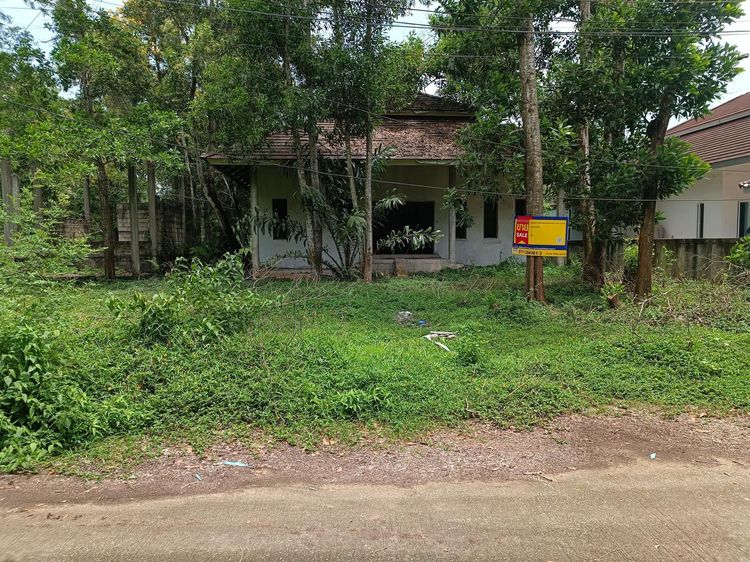 ใช่ 💖 บ้าน เมืองชุมพร ราคาพิเศษ! 💖