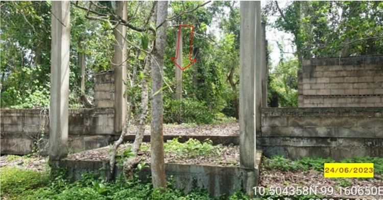 ใช่ 💖 บ้าน เมืองชุมพร ราคาพิเศษ! 💖 รูปที่ 4