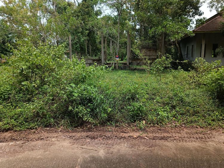 ใช่ 💖 บ้าน เมืองชุมพร ราคาพิเศษ! 💖