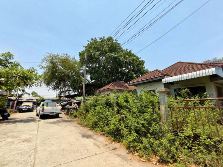 ใช่ 💖 บ้าน ปากเกร็ด ราคาพิเศษ! 💖 รูปที่ 4