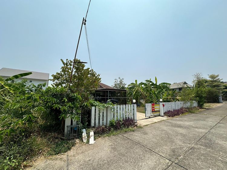 ใช่ 💖 บ้าน หางดง ราคาพิเศษ! 💖 รูปที่ 2