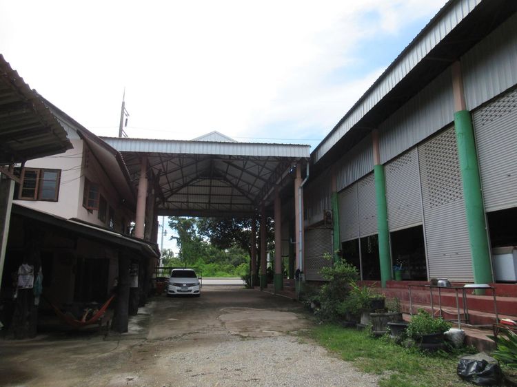 ใช่ 💖 บ้าน ภูซาง ราคาพิเศษ! 💖 รูปที่ 3