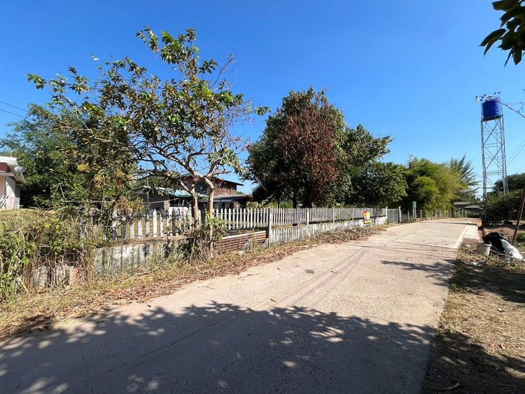 ใช่ 💟 บ้านเดี่ยว โพนทอง ร้อยเอ็ด 💟 รูปที่ 4