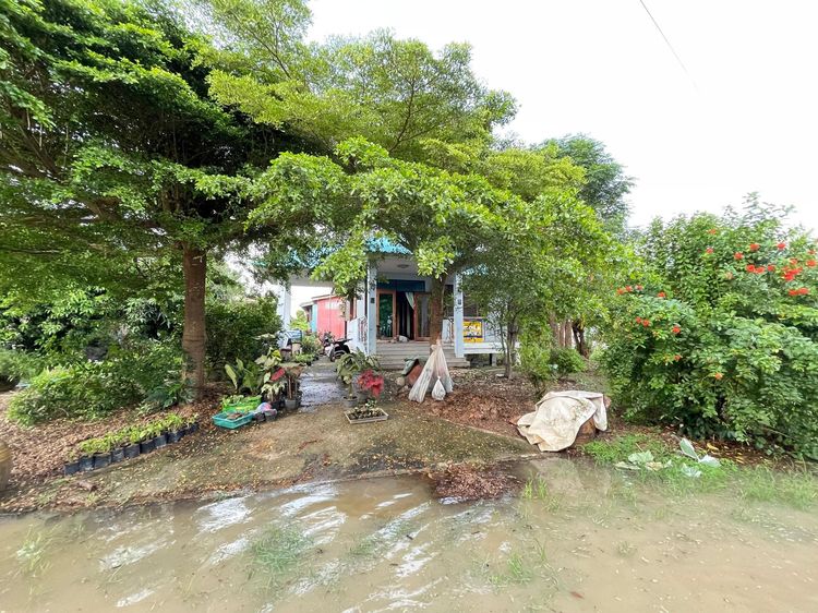 ใช่ 💖 บ้าน วิเศษชัยชาญ ราคาพิเศษ! 💖