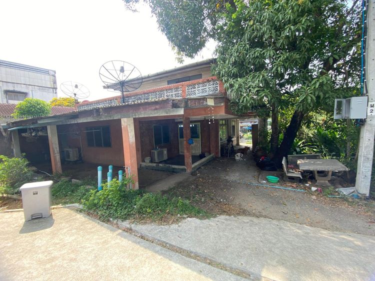 ใช่ 💖 บ้าน บางเขน ราคาพิเศษ! 💖 รูปที่ 3