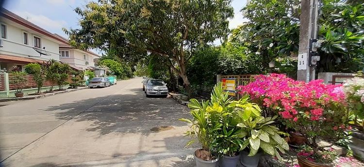 ใช่ 💖 บ้าน หนองจอก ราคาพิเศษ! 💖 รูปที่ 3