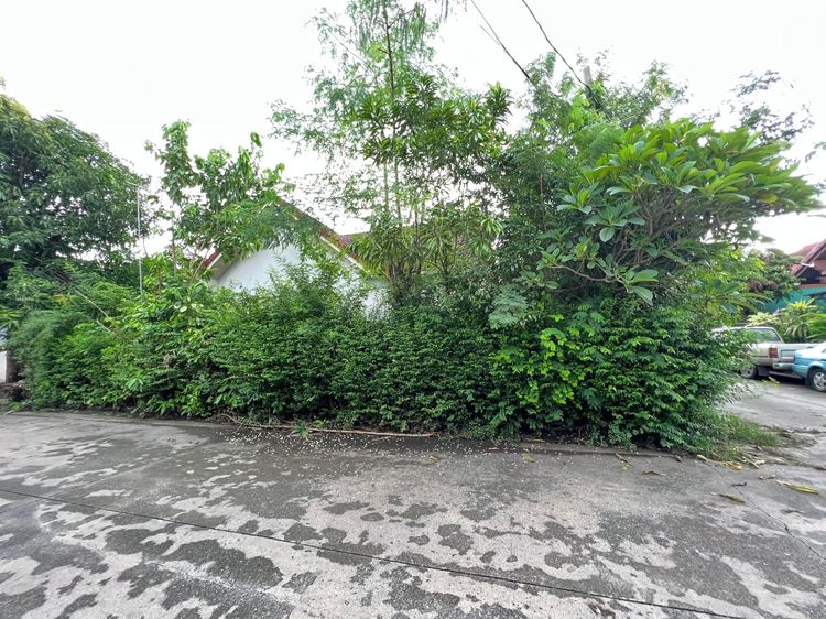 ใช่ 💖 บ้าน หนองจอก ราคาพิเศษ! 💖 รูปที่ 3