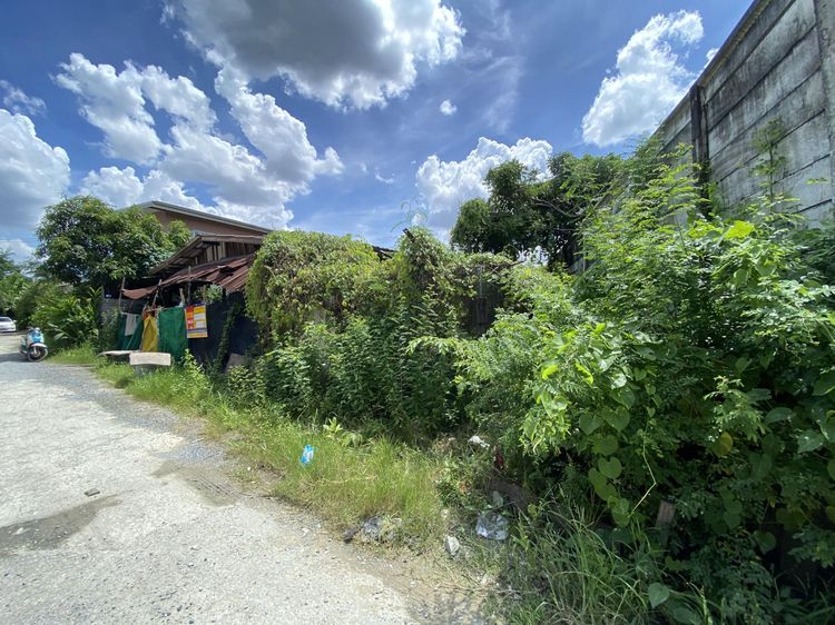 💟 บ้านไม้ชั้นเดียว 💟 รูปที่ 3