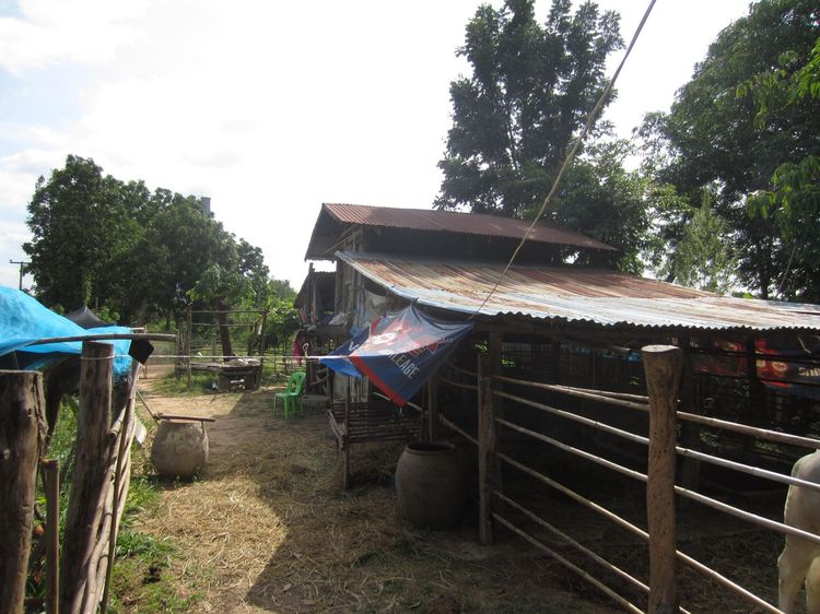 ใช่ 💖 บ้าน นาโพธิ์ ราคาพิเศษ! 💖 รูปที่ 4