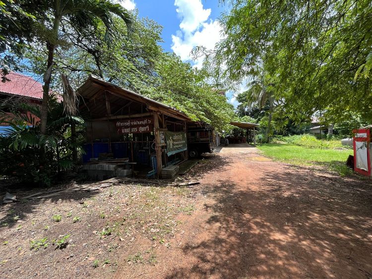 ใช่ 💖 บ้าน หนองกี่ ราคาพิเศษ! 💖 รูปที่ 4