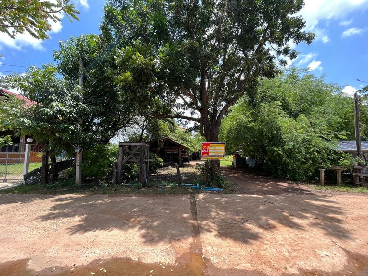 💖 บ้าน หนองกี่ ราคาพิเศษ! 💖