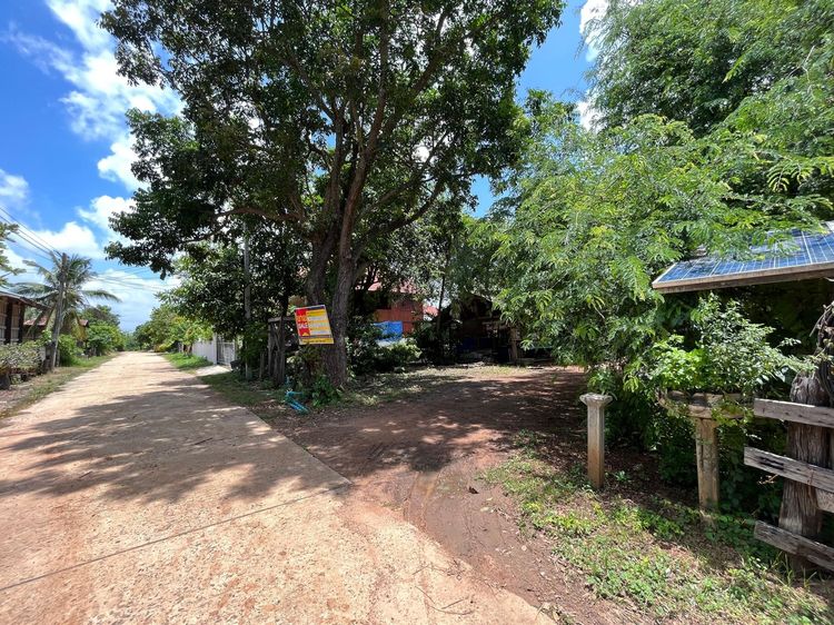 ใช่ 💖 บ้าน หนองกี่ ราคาพิเศษ! 💖 รูปที่ 2