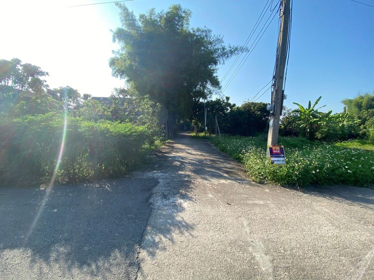 ใช่ 💖 บ้าน แม่วาง ราคาพิเศษ! 💖 รูปที่ 4