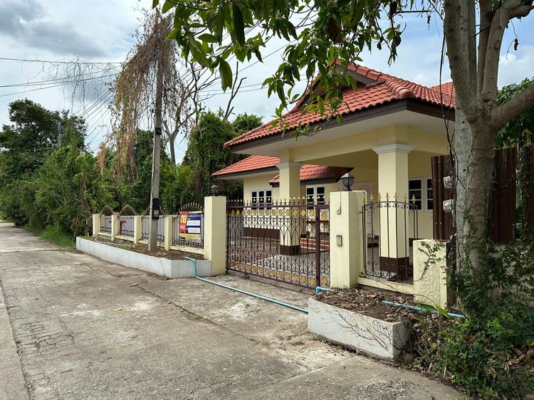 ใช่ 💖 บ้าน สันป่าตอง ราคาพิเศษ! 💖 รูปที่ 2