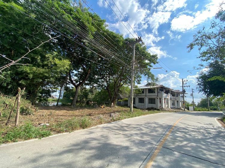 ใช่ 💖 บ้าน เมืองเชียงใหม่ ราคาพิเศษ! 💖 รูปที่ 2