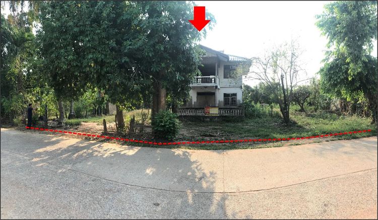 ใช่ 💖 บ้าน กิ่งอำเภอโคกโพธิ์ไชย ราคาพิเศษ! 💖 รูปที่ 4