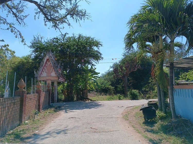 ใช่ 💖 บ้าน ชนบท ราคาพิเศษ! 💖 รูปที่ 3