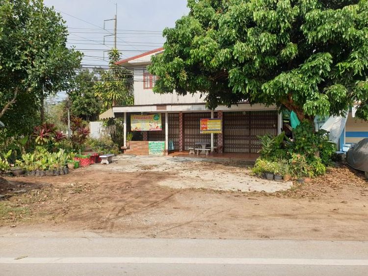 ใช่ 💖 บ้าน เมืองเลย ราคาพิเศษ! 💖 รูปที่ 2