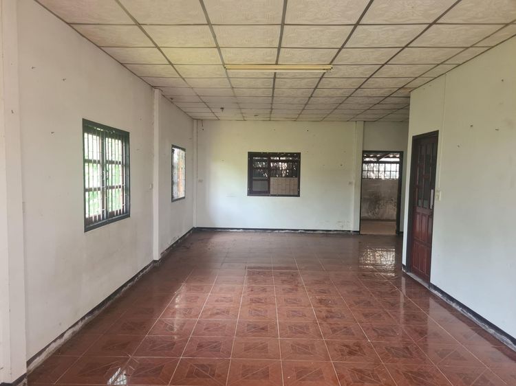 ใช่ 💖 บ้าน เมืองเลย ราคาพิเศษ! 💖 รูปที่ 3