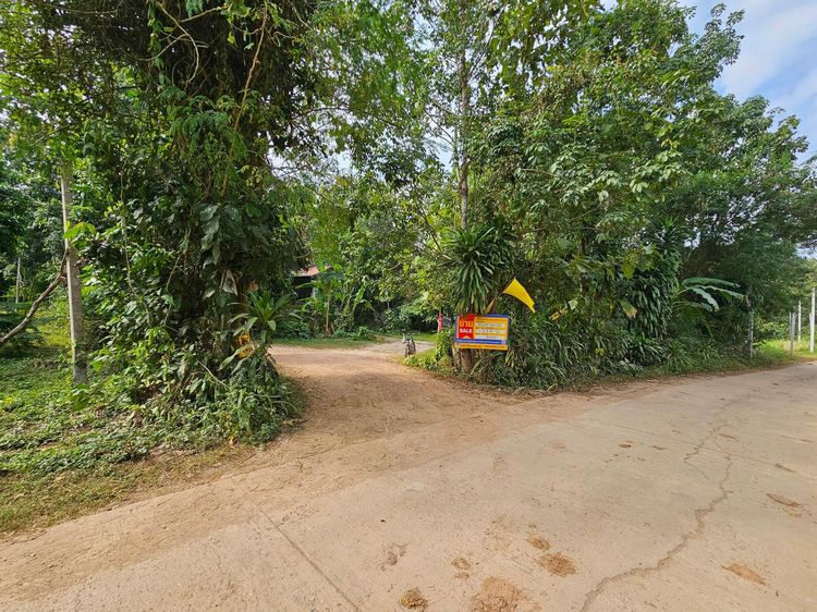 💖 บ้าน วังสะพุง ราคาพิเศษ! 💖