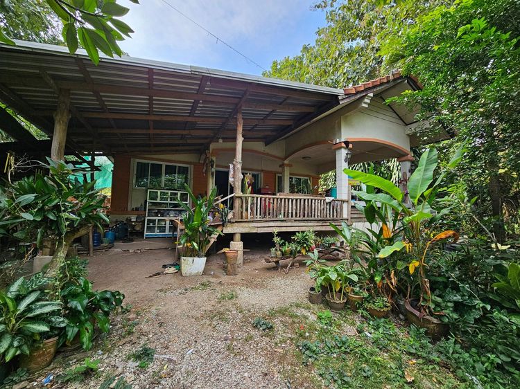 āđāļāđ ð āļāđāļēāļ āļ§āļąāļāļŠāļ°āļāļļāļ āļĢāļēāļāļēāļāļīāđāļĻāļĐ! ð āļĢāļđāļāļāļĩāđ 2