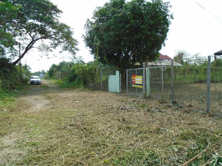 ใช่ 💖 บ้าน เมืองลำปาง ราคาพิเศษ! 💖 รูปที่ 4