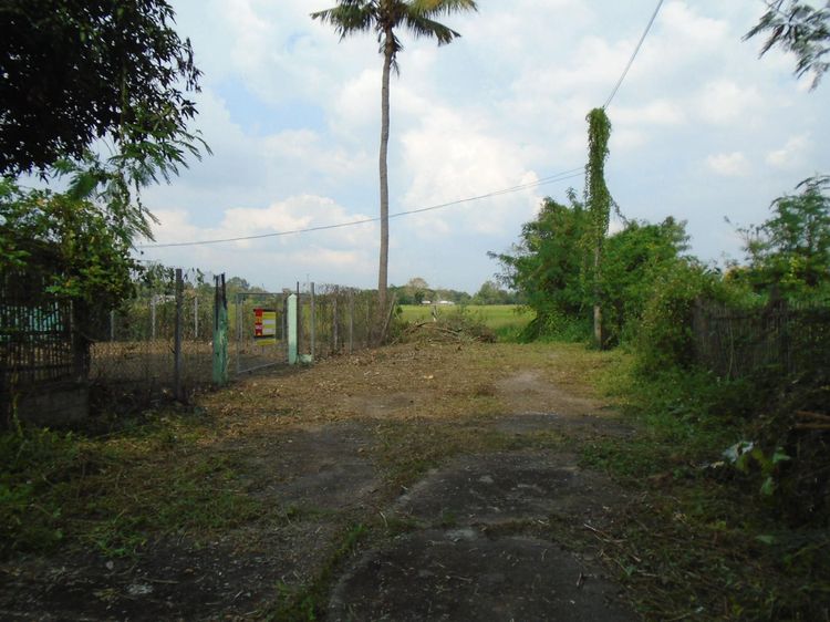 ใช่ 💖 บ้าน เมืองลำปาง ราคาพิเศษ! 💖 รูปที่ 2