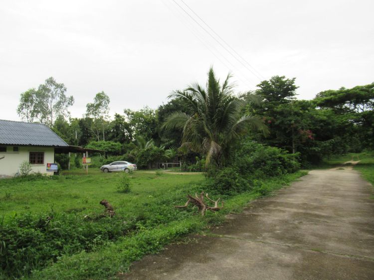 ใช่ 💖 บ้าน เมืองลำปาง ราคาพิเศษ! 💖 รูปที่ 4