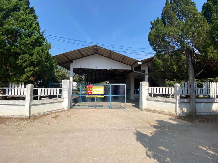 💖 บ้าน ป่าซาง ราคาพิเศษ! 💖