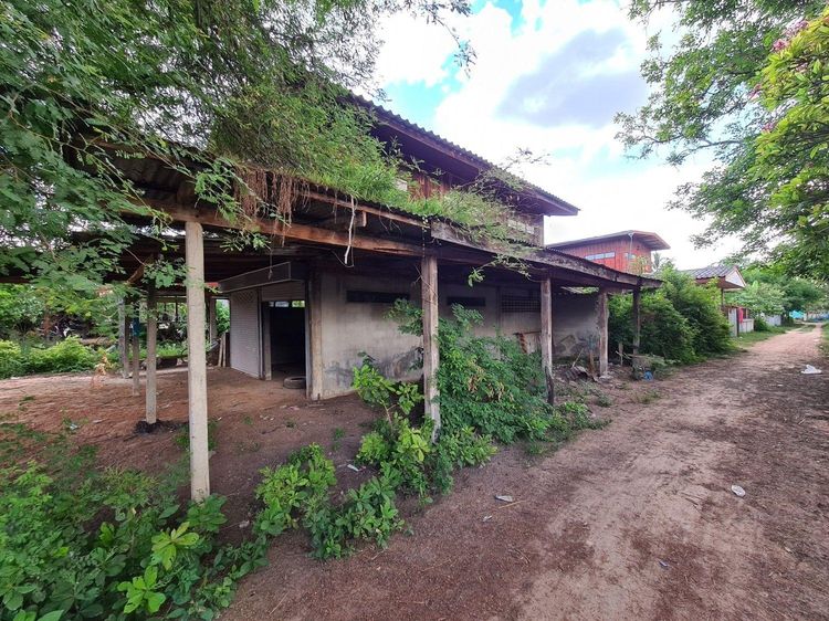 ใช่ 💖 บ้าน วาปีปทุม ราคาพิเศษ! 💖 รูปที่ 3