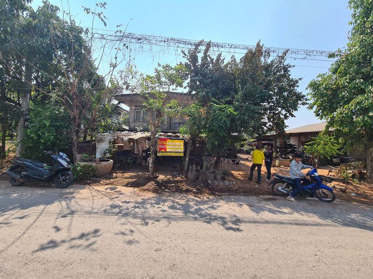 ใช่ 💖 บ้าน นากลาง ราคาพิเศษ! 💖 รูปที่ 2