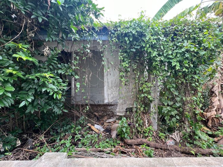 ใช่ 💖 บ้าน องครักษ์ ราคาพิเศษ! 💖 รูปที่ 3