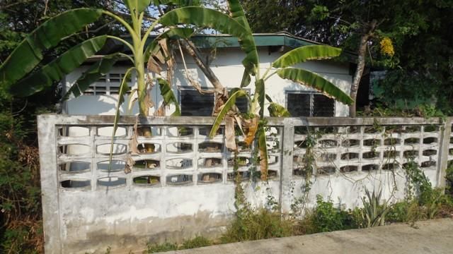 ใช่ 💖 บ้าน ประทาย ราคาพิเศษ! 💖 รูปที่ 3