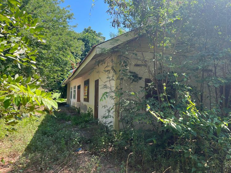 ใช่ 💖 บ้าน โนนสูง ราคาพิเศษ! 💖 รูปที่ 3