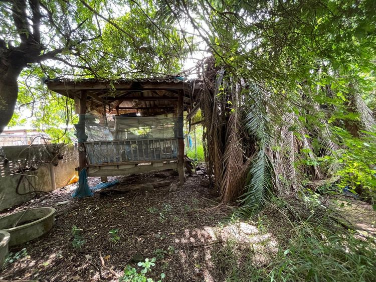 ใช่ 💖 บ้าน ประทาย ราคาพิเศษ! 💖 รูปที่ 3