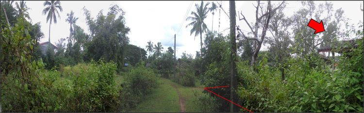 💖 บ้าน วานรนิวาส ราคาพิเศษ! 💖 รูปที่ 3