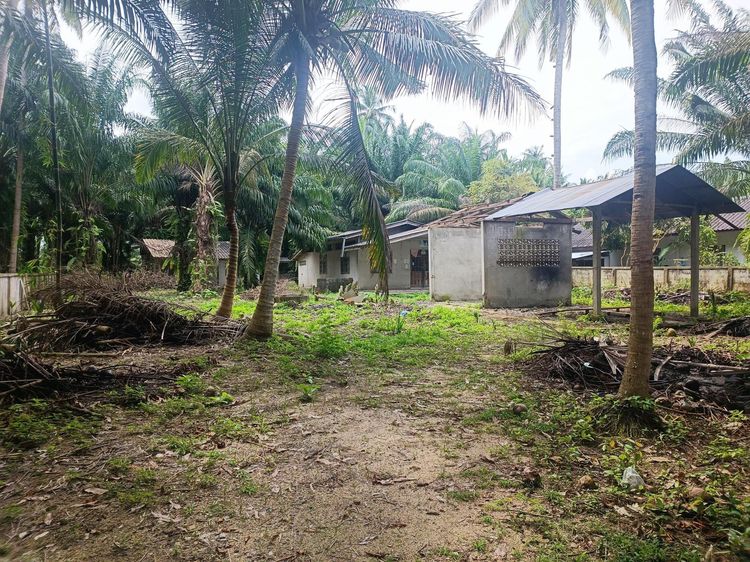 💖 บ้าน กาญจนดิษฐ์ ราคาพิเศษ! 💖