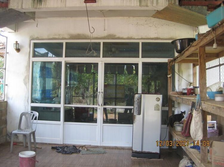 ใช่ 💖 บ้าน ย่านตาขาว ราคาพิเศษ! 💖 รูปที่ 2