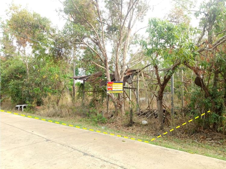 ใช่ 💖 บ้าน เดชอุดม ราคาพิเศษ! 💖 รูปที่ 4