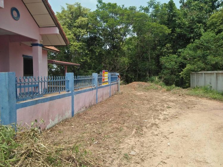 āđāļāđ ð āļāđāļēāļ āļāļĢāļ°āļāļēāļĢāļāļ·āļāļāļĨ āļĢāļēāļāļēāļāļīāđāļĻāļĐ! ð āļĢāļđāļāļāļĩāđ 2