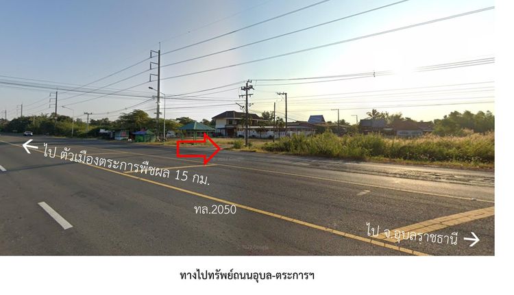 ใช่ 💖 บ้าน ตระการพืชผล ราคาพิเศษ! 💖 รูปที่ 4