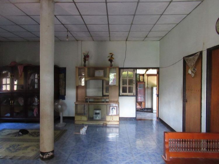 ใช่ 💖 บ้าน เมืองอุดรธานี ราคาพิเศษ! 💖 รูปที่ 3