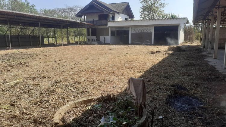ใช่ 💖 บ้าน เมืองลำปาง ราคาพิเศษ! 💖 รูปที่ 3