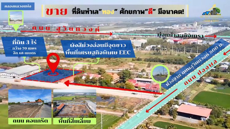 ขาย ที่ดินทำเลทองในพื้นที่เศรษฐกิจพิเศษ EEC 2 ไร่ 3 งาน 91.6 ตารางวา ฟรีโอน ฟรีกำแพง ฟรีถมที่